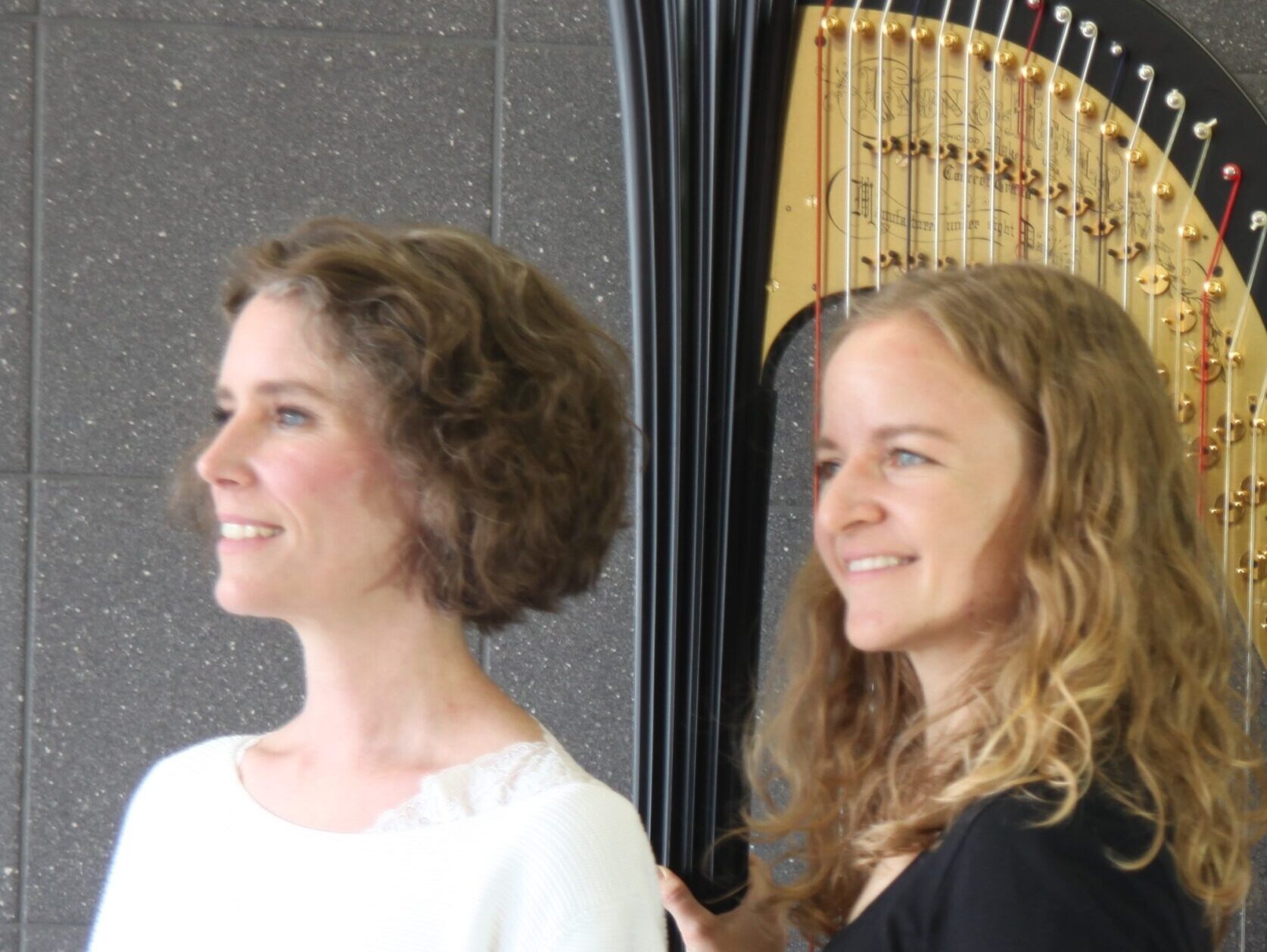 EinstimmigVielsaitig